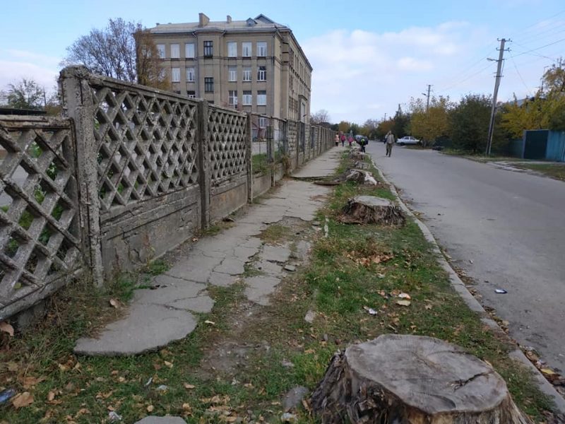 Срубленные деревья на улице Шевченко. Фото: Татьяна Жавжарова.