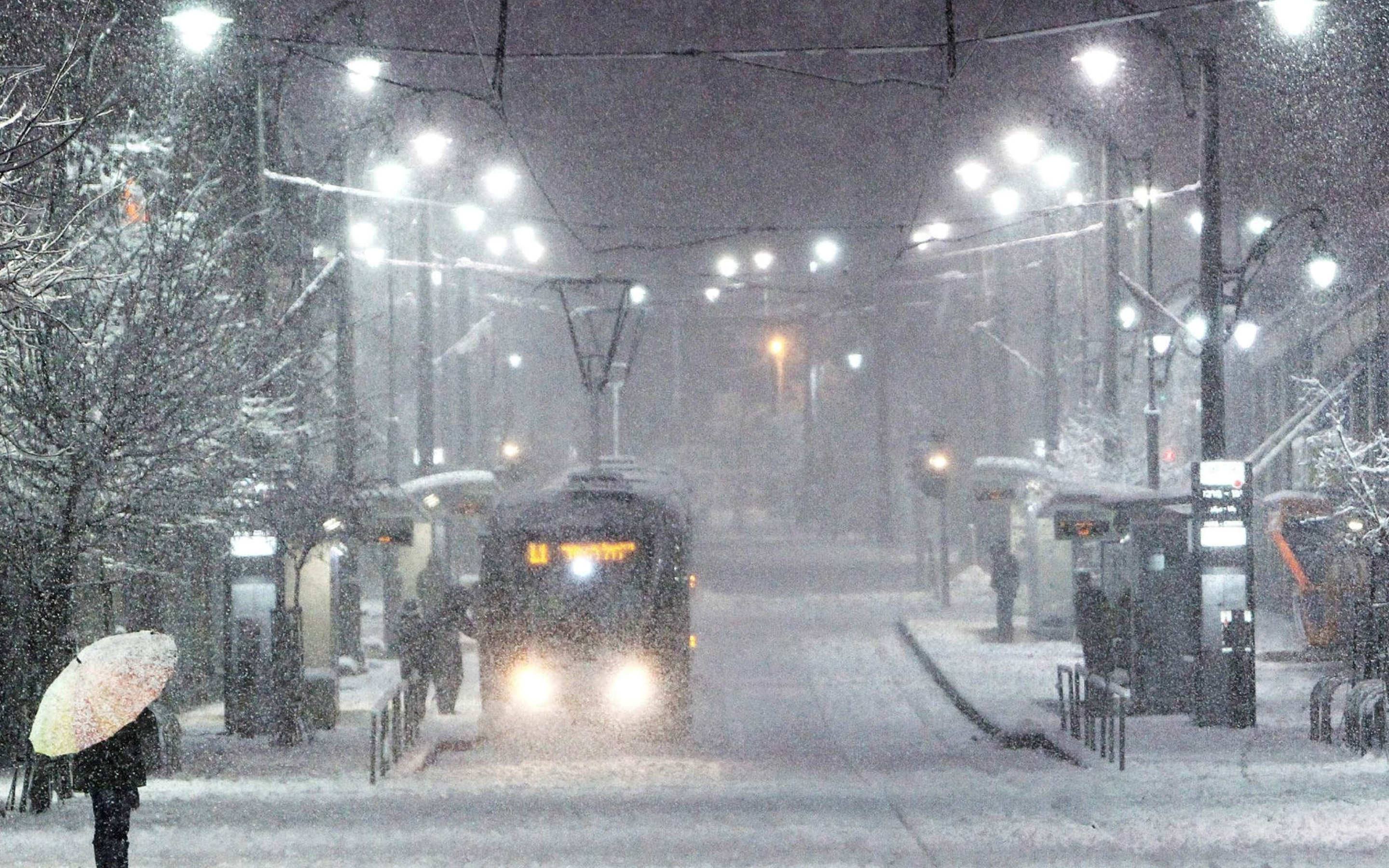 Фото Зимы Ночью В Городе