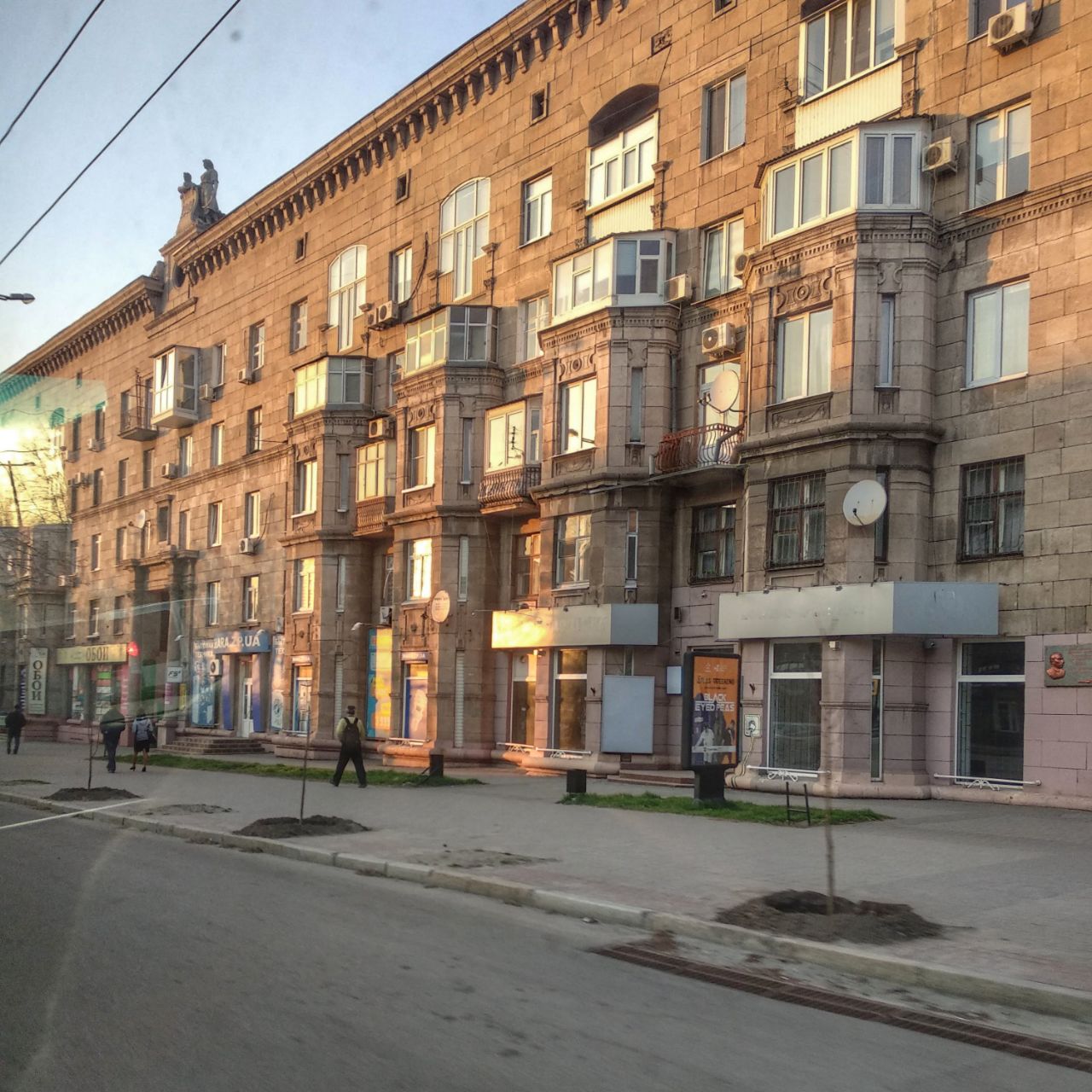 Вдоль проспекта высадили деревья. фото: Vgorode