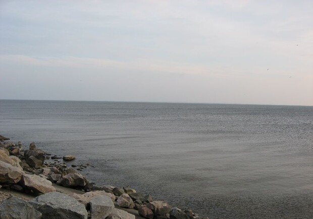 В Каховское водохранилище запустили рыб.
Фото www.geocaching.su.