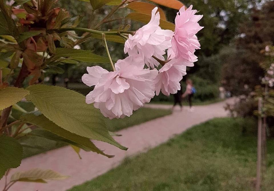 5 самых увлекательных мероприятий этого уик-энда/Фото: tomar.fotos