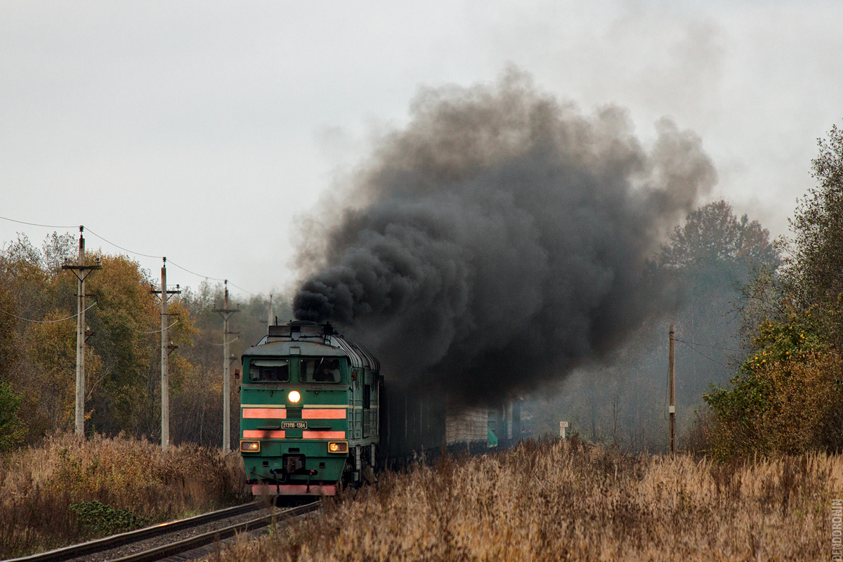 Почему черный дым. Тепловоз 2тэ116 дымит. 2тэ116 задымил. Тепловоз 2тэ10м дымит. КОПТЯЩИЙ 2тэ116.