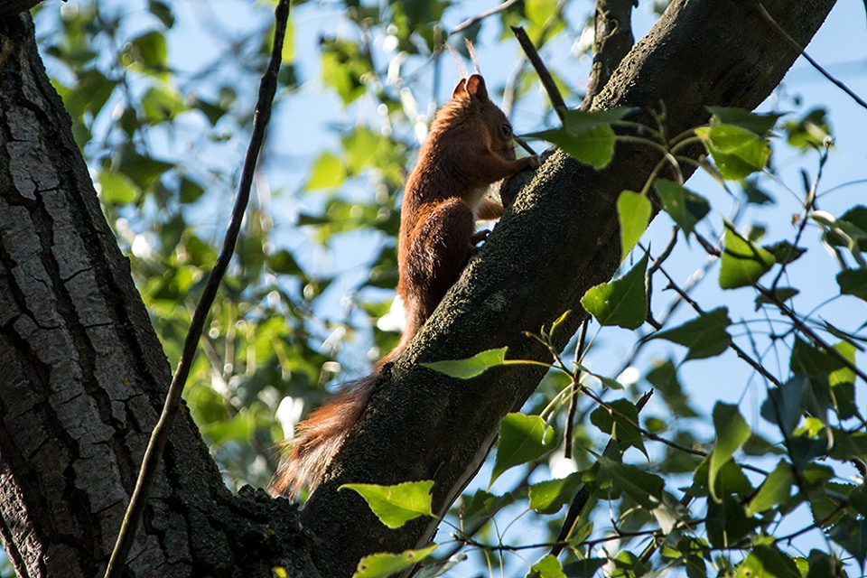 Фото Хортицы. Автор: Юрий Батаев