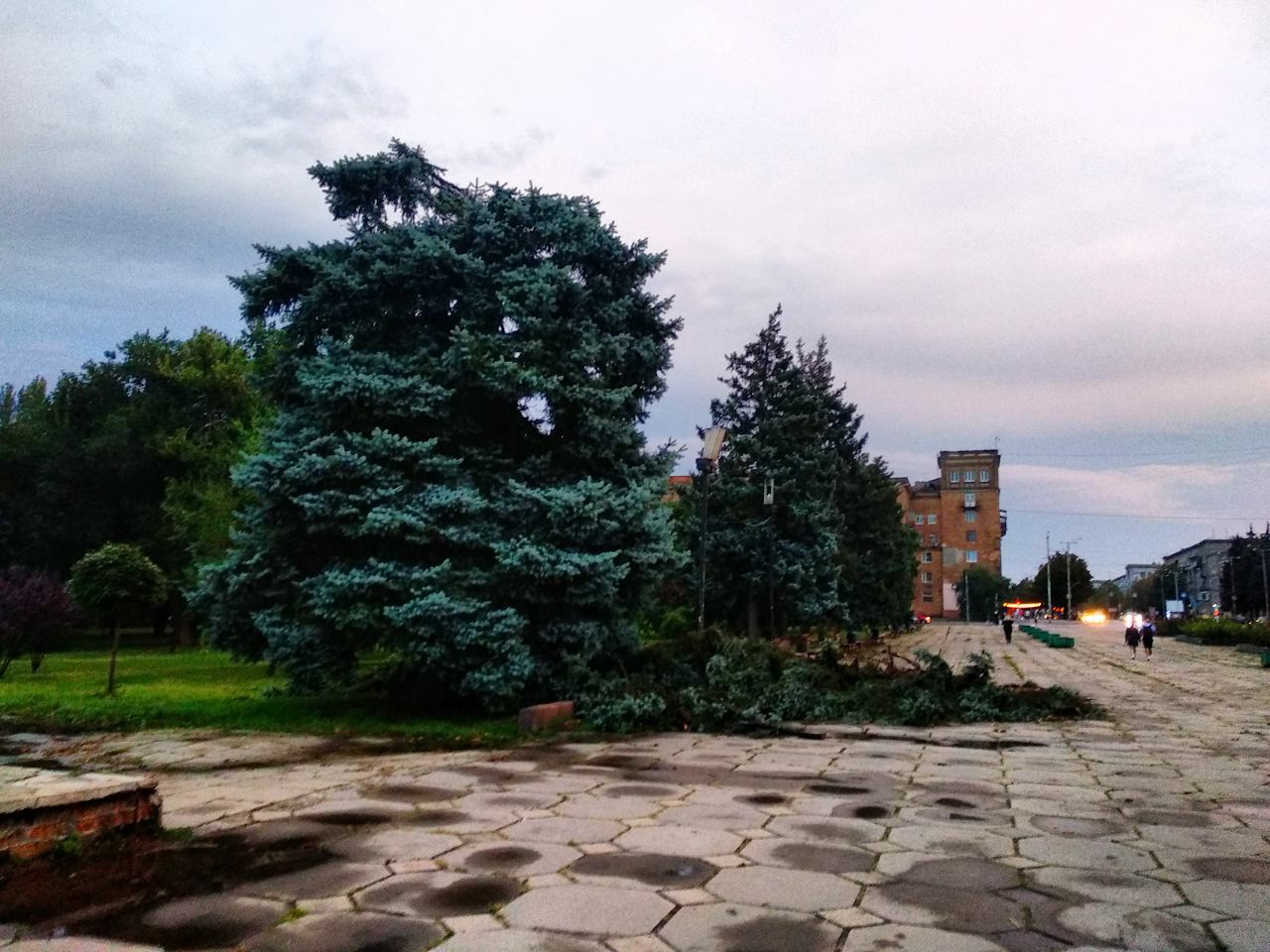 На запорожской площади сломалась елка / фото: Анна Покровская