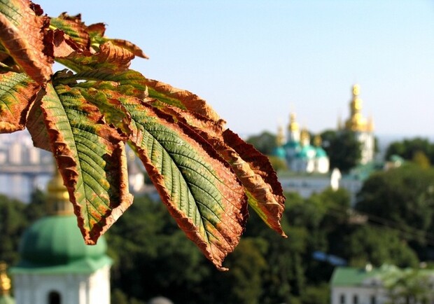 Сегодняшний день предвещает сухую погоду. Фото с сайта www.fotokritik.ru.