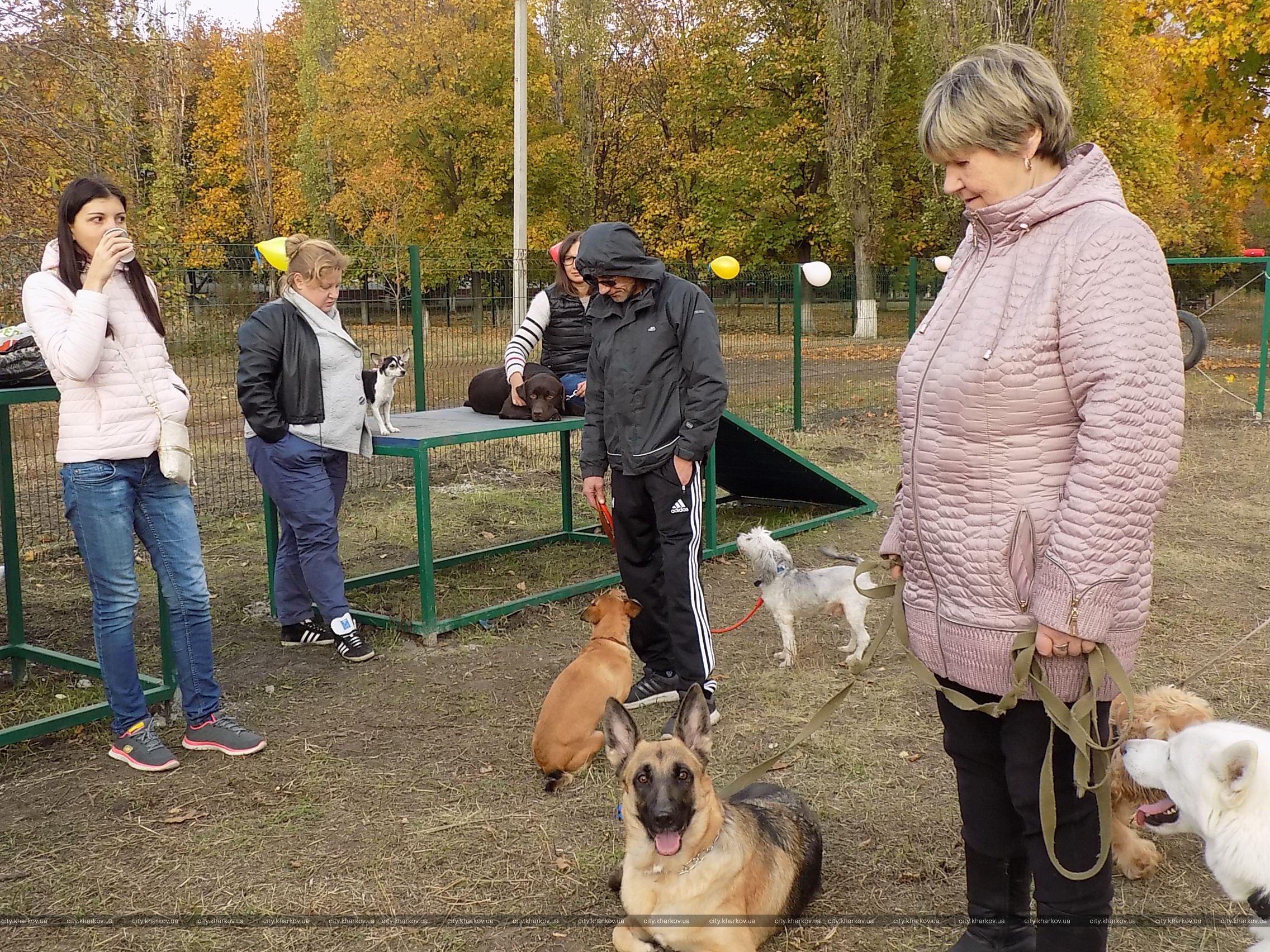 В Харькове открыли новую площадку для выгула собак: адрес, фото - Харьков  Vgorode.ua