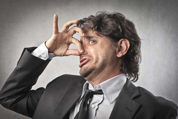 В Запорожье воняет из-за птицефабрики в Отрадном / shutterstock