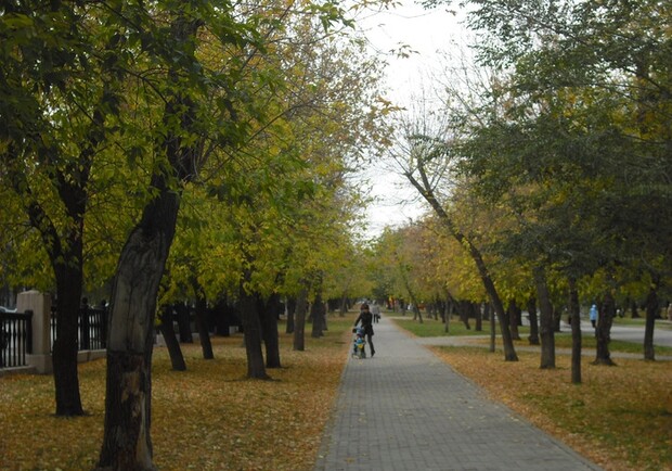 Горсовет проверит безопасность парка
Фото http://img0.liveinternet.ru