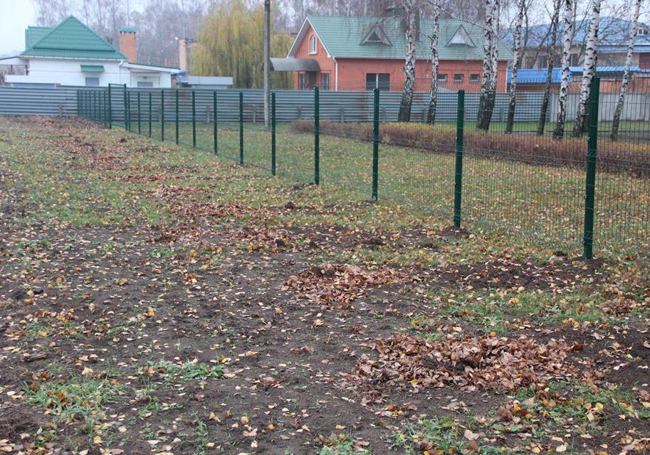 В школе под Полтавой укрили 36 молодых туй