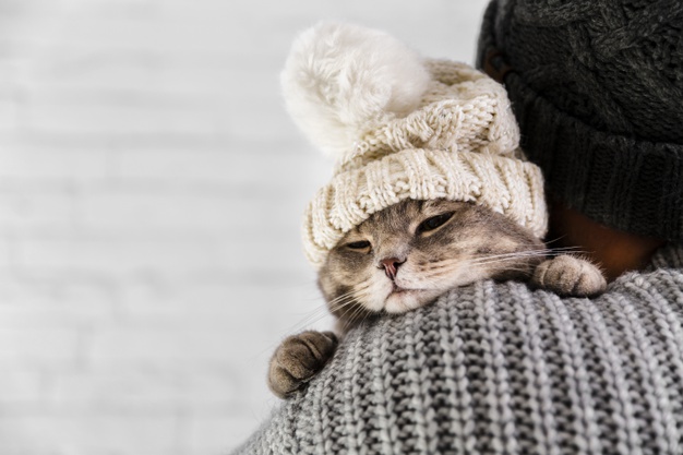 Погода в Запорожье / freepik.com