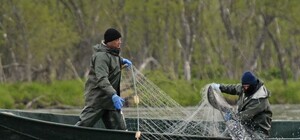 Им законы не писаны: под Киевом на водоемах ловят браконьеров