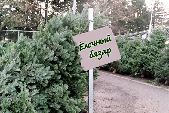 Фото votnabchelny.ru.
