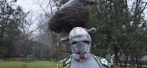 В роли крысы: директор одесского зоопарка заснял новый новогодний клип