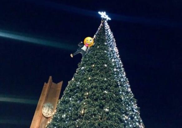 В Мелитополе мужчина залез на елку / фото: @melitopol_gram