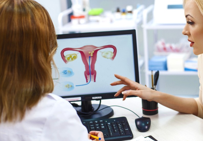 Инсеминация Цена