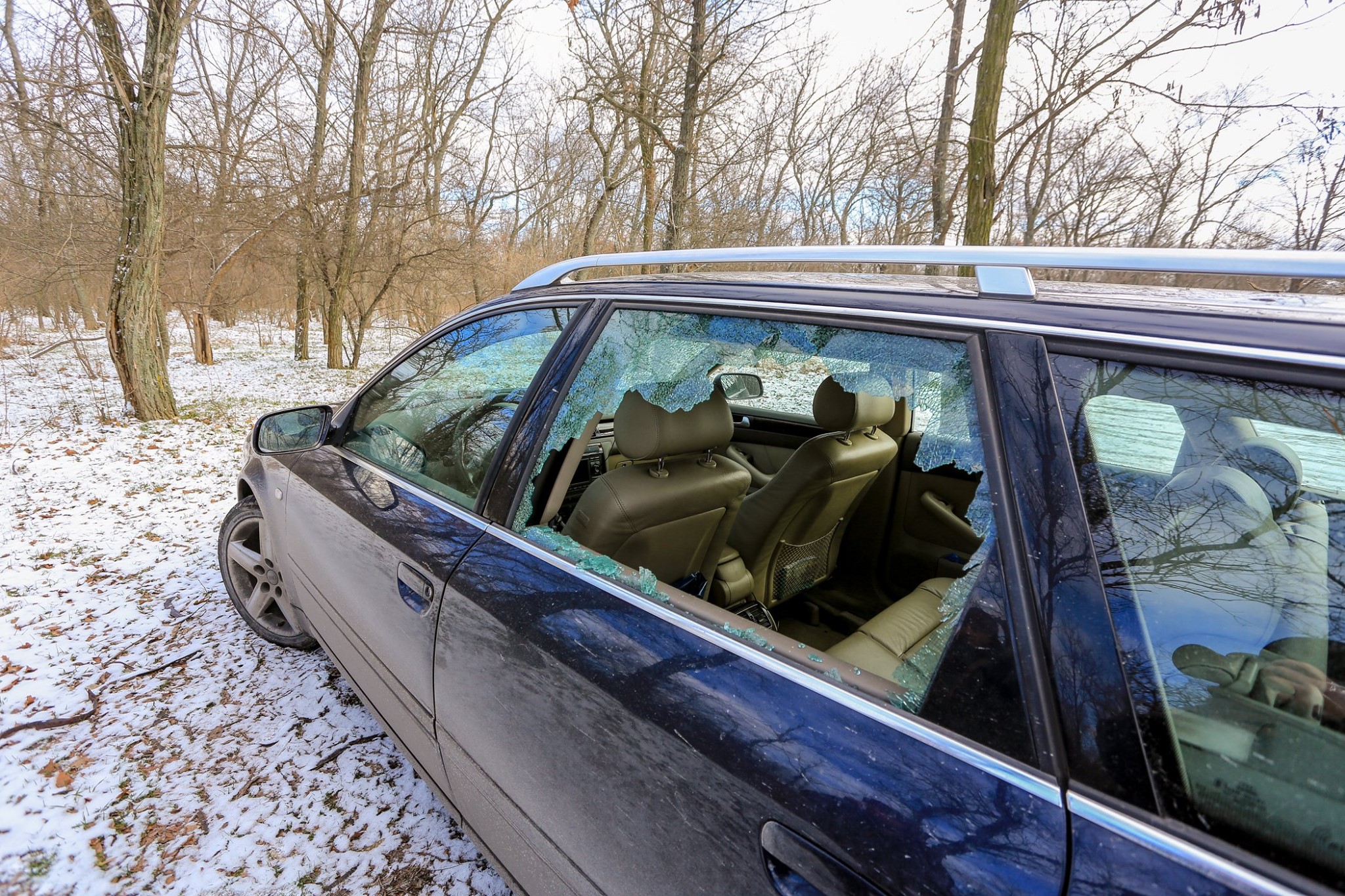 В Запорожье грабят авто на Хортице / фото: fb Игорь Лавров