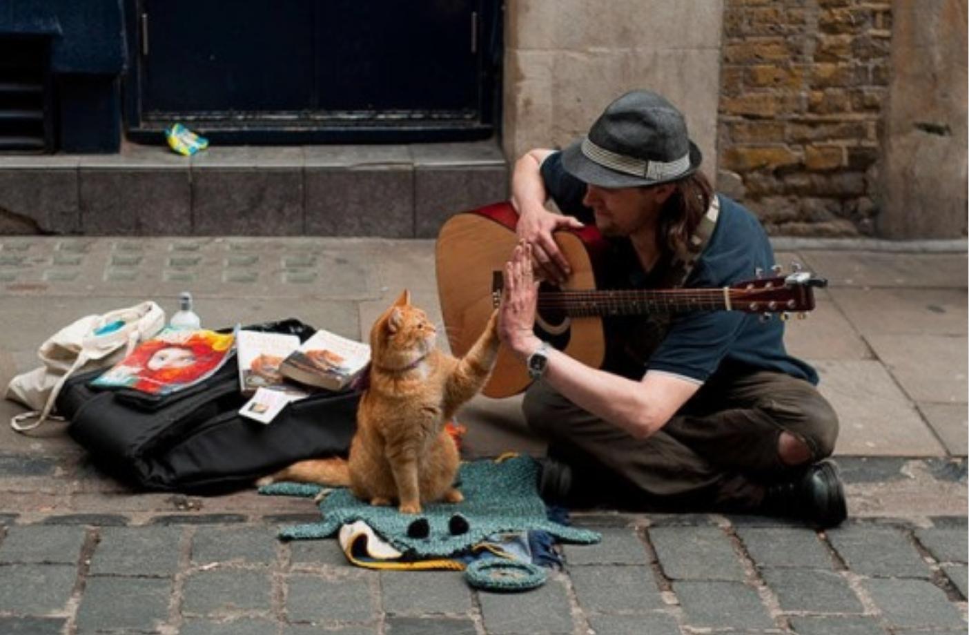 Играют на улице песни. Рыжий кот Боб.