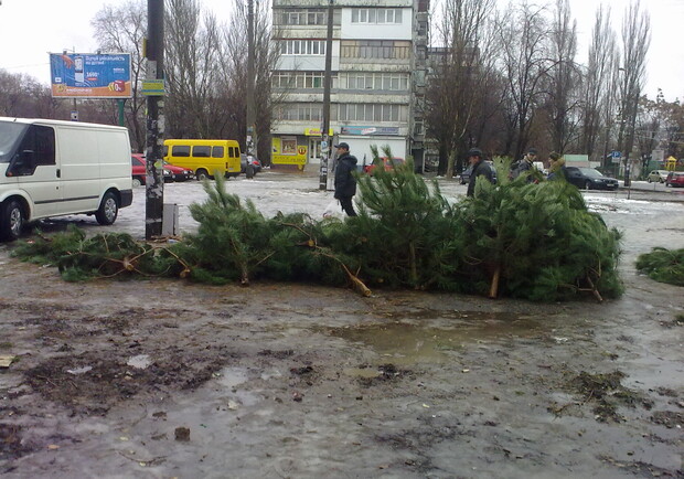 Где в Запорожье елки продают?
Фото из архива "В городе"