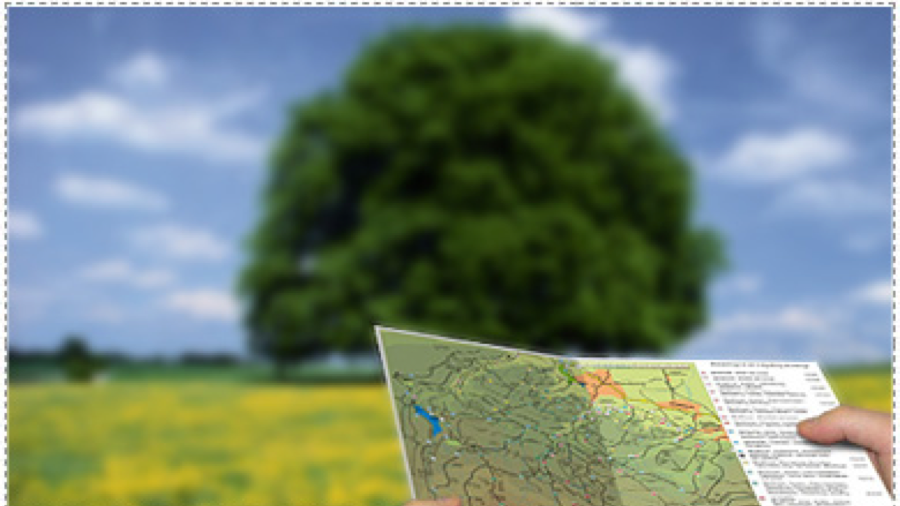 такой результат очков для чтения