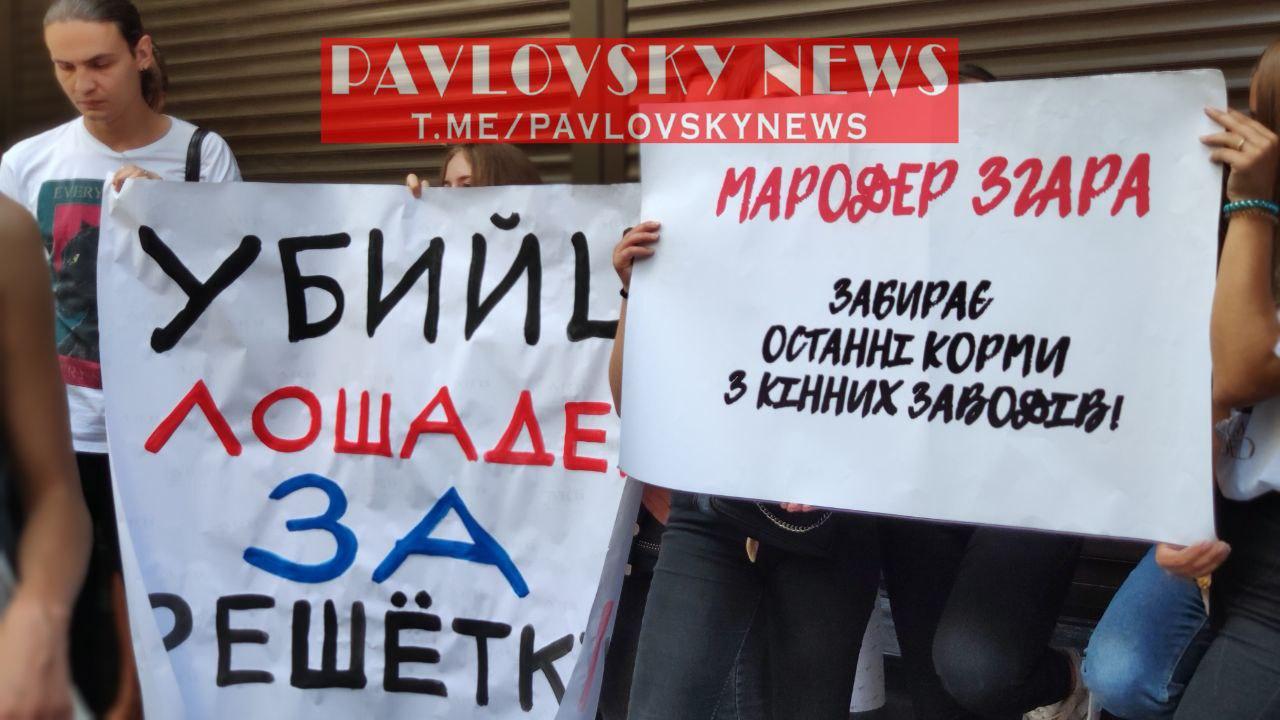 Активисты требуют прекратить издевательства над животными. Фото: Pavlosky News