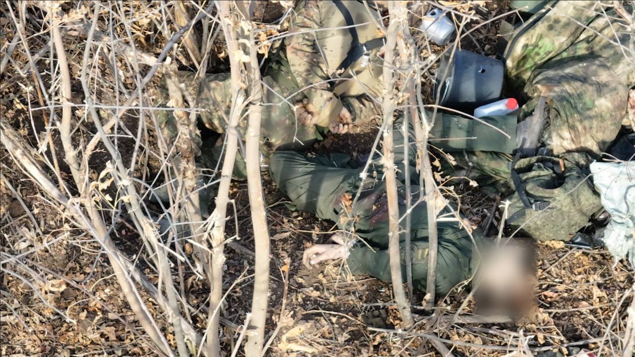 "На Запорізькому напрямку росіяни розстріляли українських військовополонених. || Фото: t.me/ssternenko"