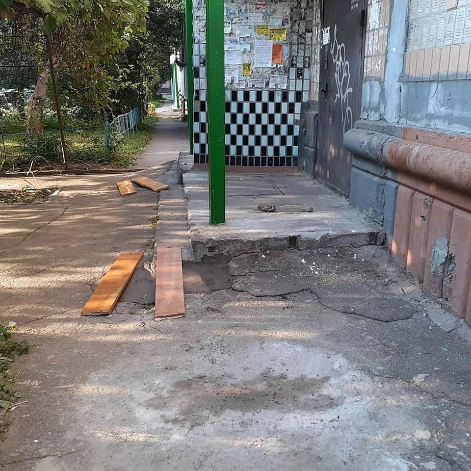 "В Запорожье ежиков замуровали под крыльцом - фото: fb Юлия Денисюк"