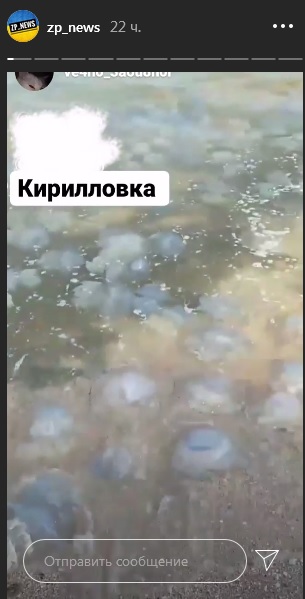 "Азовское море заполонили медузы / фото: zp_news"